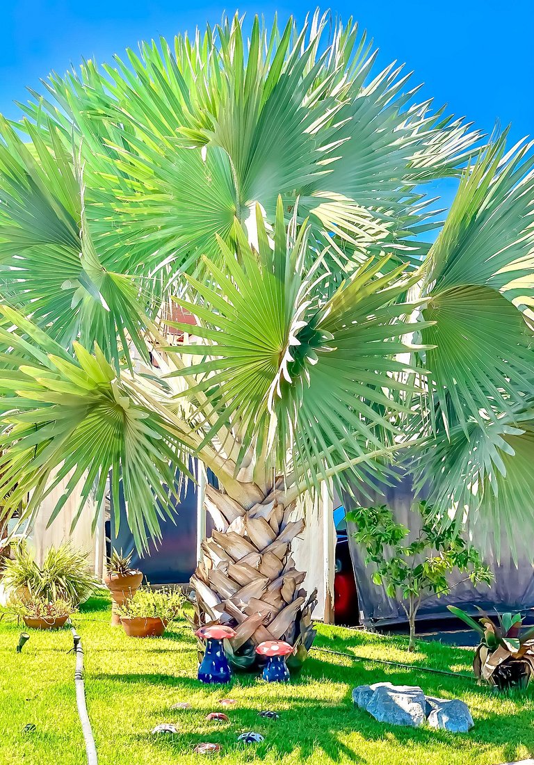 Apê Elegante I Wi-Fi e A/C